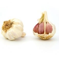 Garlic