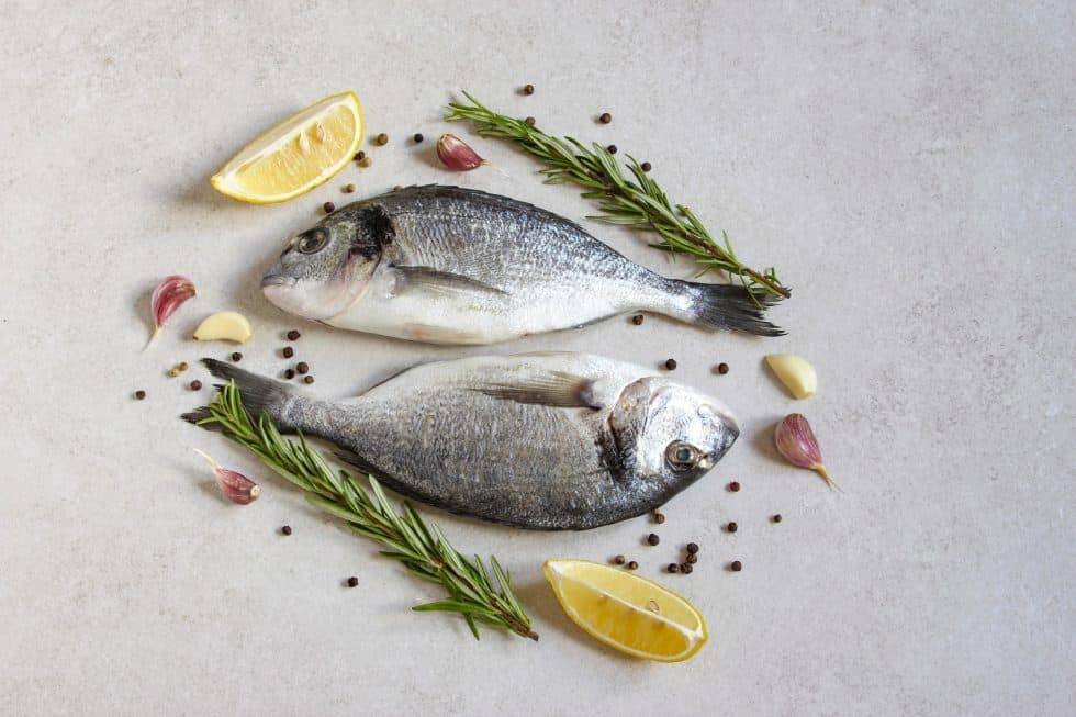Can you eat fish on a vegan diet? Diet Find