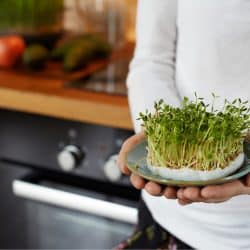 What exactly are microgreens?