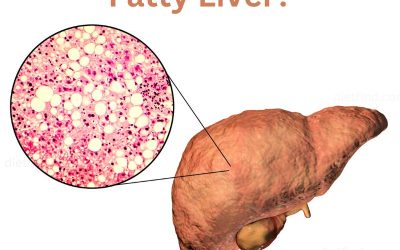 Revitalize Your Liver – Best Diet & Supplements Guide