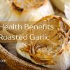 Dietfind Roasted garlic FI