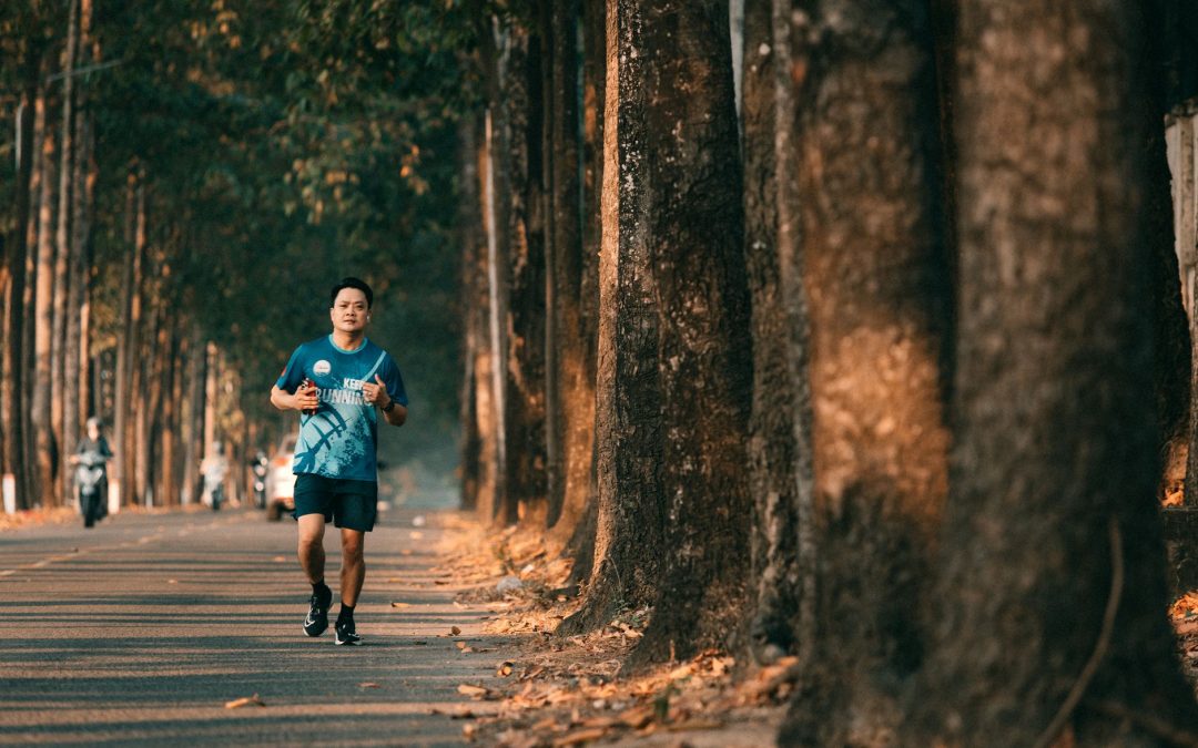 A runner in a blue shirt jogging along a tree-lined road in warm morning light